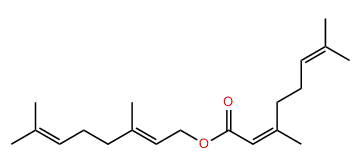 (E)-3,7-Dimethyl-2,6-octadienyl 3,7-dimethyl-2,6-octadienoate